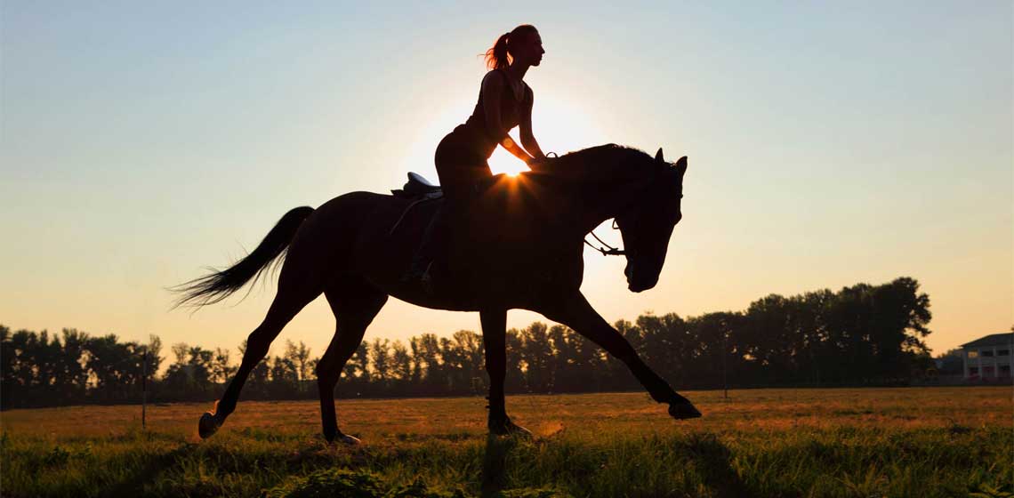 Smith Mountain Lake Horseback Riding Lesson